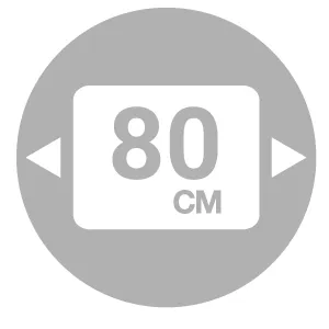 Module 80