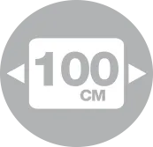Module 100