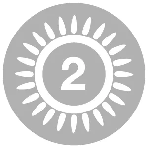 Double ring burner