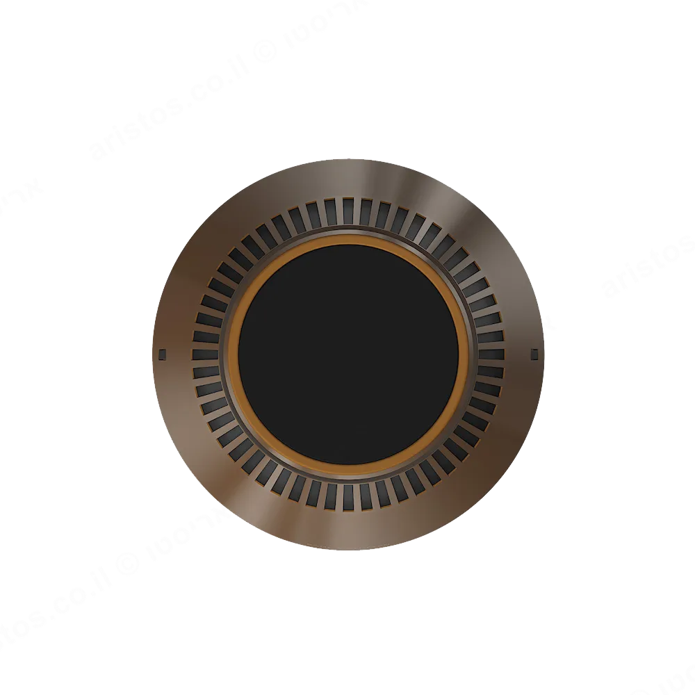 bang & olufsen רמקול עוצמתי עם טכנולוגיית העדשה האקוסטית צבע ברונזה מבית Bang & Olufsen דגם Beosound 2 Bronze Tone — תמונה 2