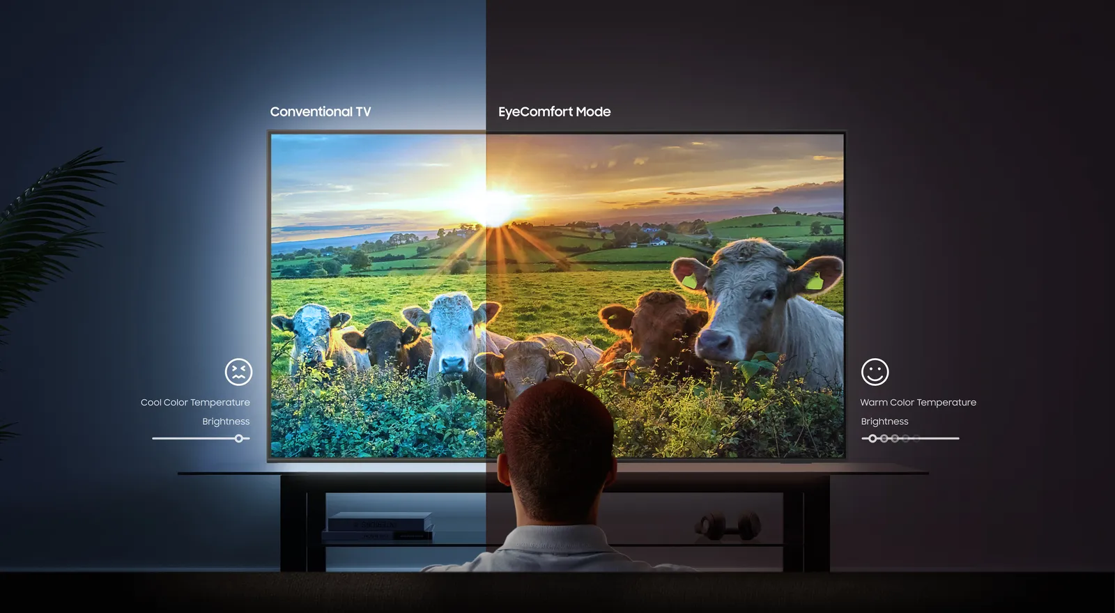 טלוויזיה ''65 Neural Quantum Processor 4K QD-OLED FULLRGB תוצרת Samsung דגם QE65S95C