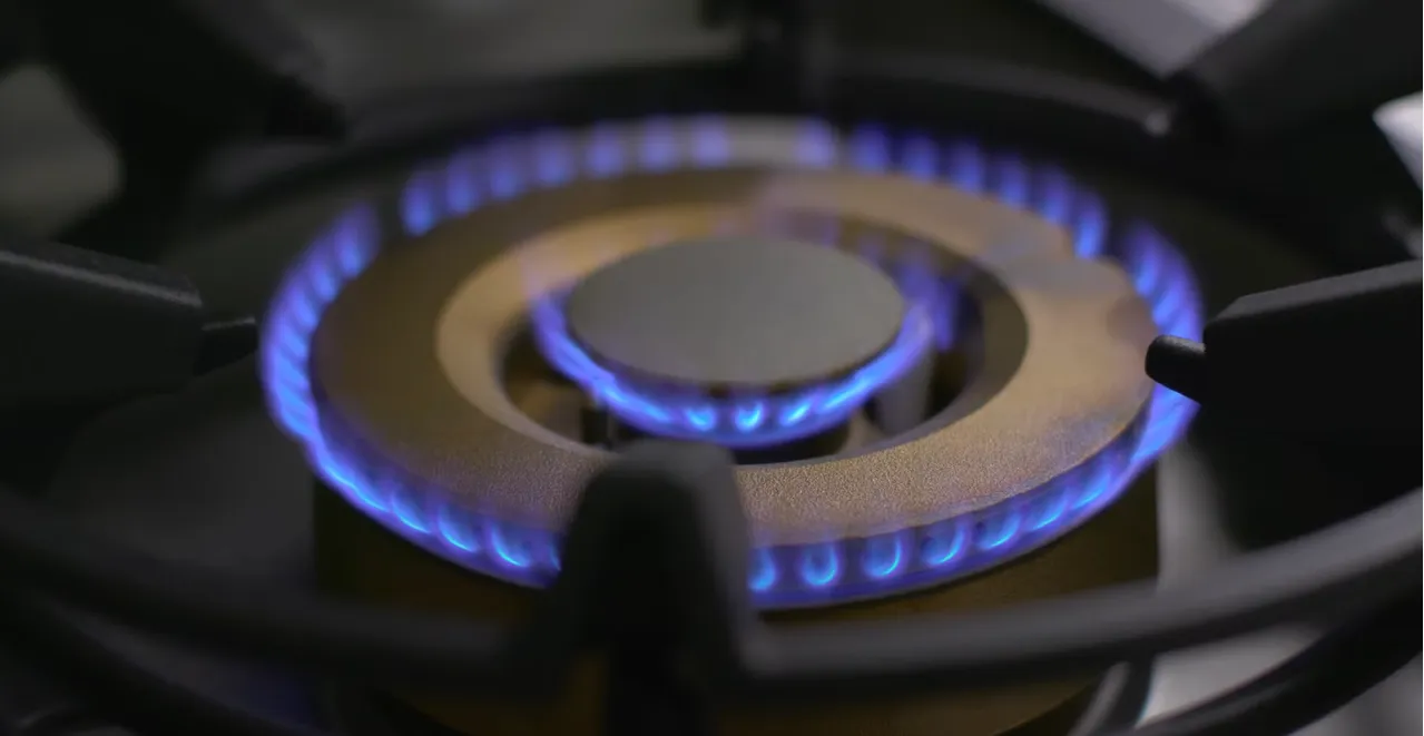 GAGGENAU כיריים גז 90 ס"מ 5 מבערי פליז כולל מבער ווק 5.8KW נירוסטה סדרה 200 תוצרת GAGGENAU דגם VG295150F — תמונה 3