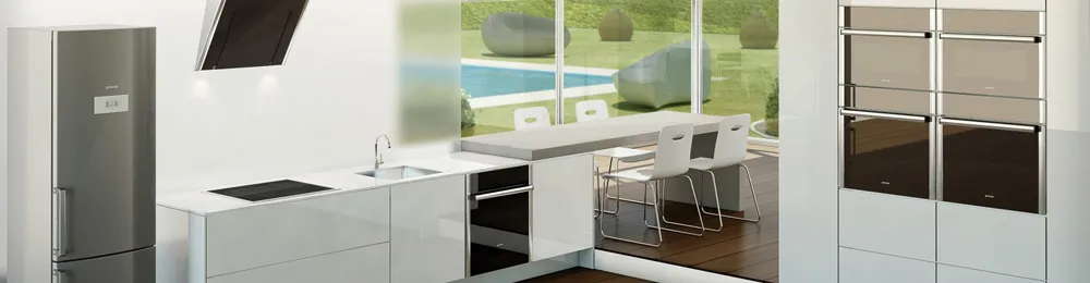 Gorenje דלת דקורטיבית למדיח כלים מדגם GORENJE PURE LINE DFD72PAX — תמונה 2