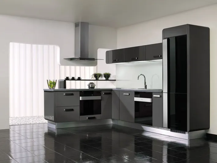 Gorenje דלת דקורטיבית למדיח כלים מדגם GORENJE ORA ITO DPPORAE — תמונה 2