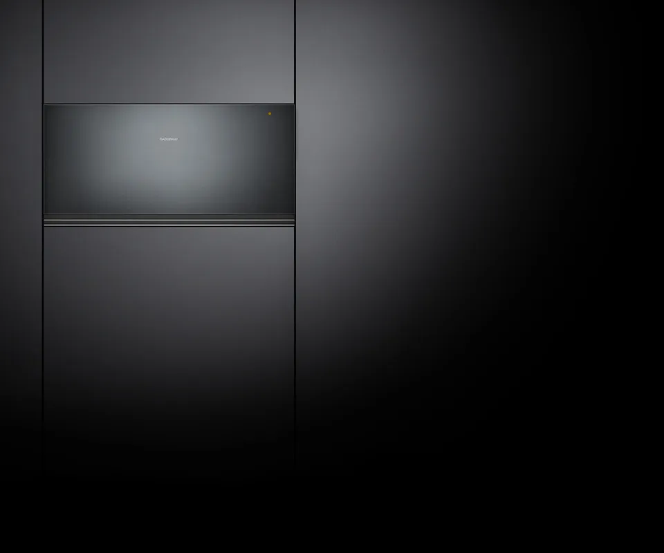 GAGGENAU מגירת חימום 29 ס"מ גימור אנטרציט סדרה 200 תוצרת GAGGENAU דגם WSP222100 — תמונה 4