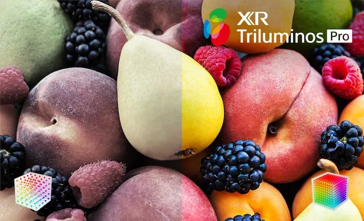 טלוויזית BRAVIA XR OLED 4K120HZ Google TV "65 מבית SONY דגם XR-65A83KAEP