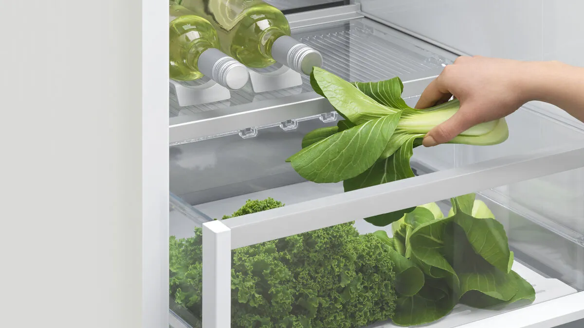 Fisher & Paykel מקרר אינטגרלי מקפיא תחתון 60 ס"מ Mini Column סדרה 9 בר מים וקרח פנימי תוצרת FISHER&PAYKEL דגם RS6019BRU1 — תמונה 10