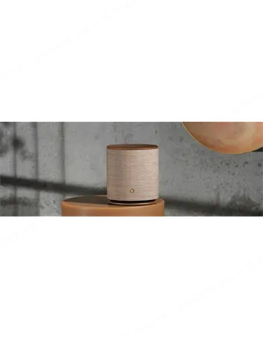 bang & olufsen