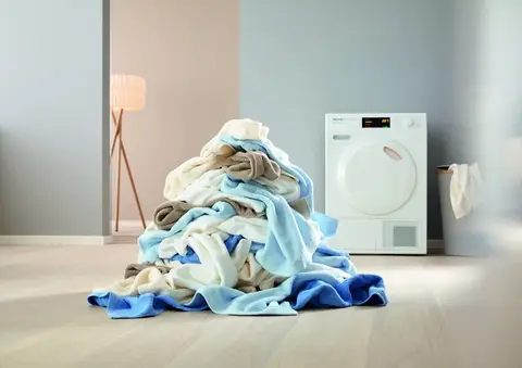 Miele