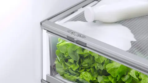 Fisher & Paykel