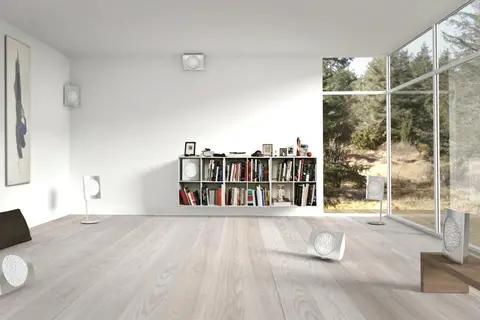 bang & olufsen