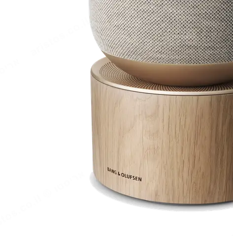 bang & olufsen