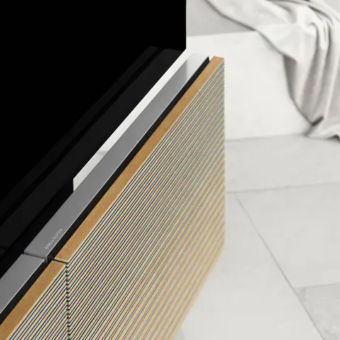 bang & olufsen