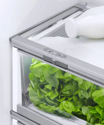 Fisher & Paykel