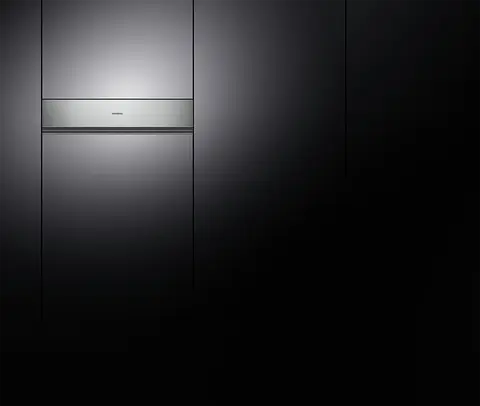 GAGGENAU מגירת ואקום אינטגרלית 14 ס"מ גימור מטאלי סדרה 200 תוצרת GAGGENAU דגם DVP221110
