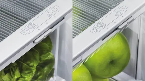 Fisher & Paykel