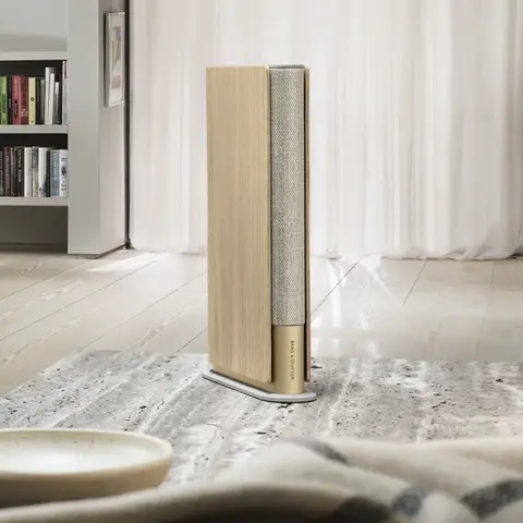 bang & olufsen
