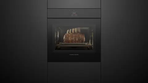 Fisher & Paykel