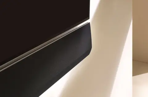 LG