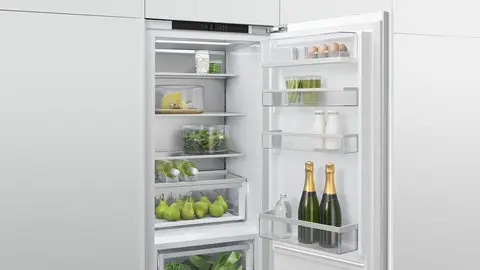Fisher & Paykel
