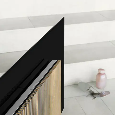 bang & olufsen