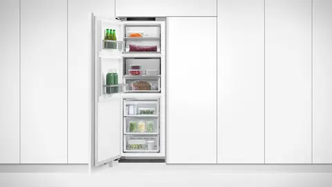 Fisher & Paykel