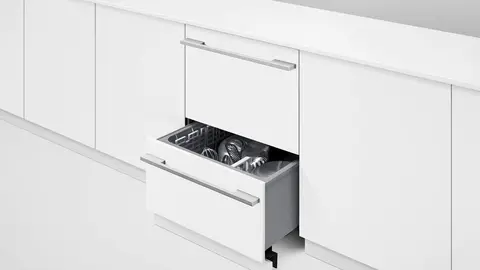 Fisher & Paykel