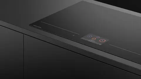 Fisher & Paykel