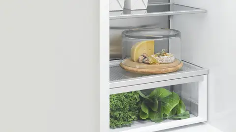 Fisher & Paykel