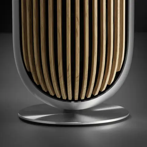bang & olufsen