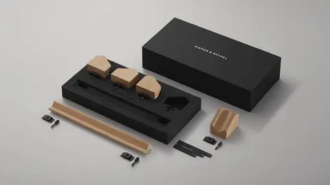 Fisher & Paykel