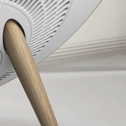 bang & olufsen