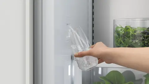 Fisher & Paykel
