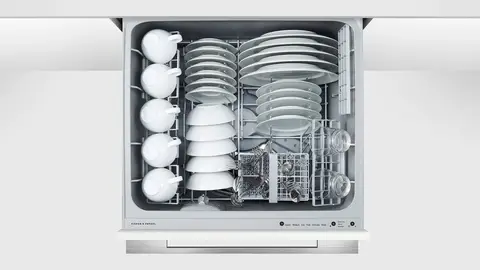 Fisher & Paykel