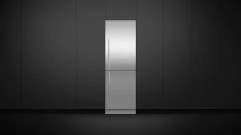 Fisher & Paykel