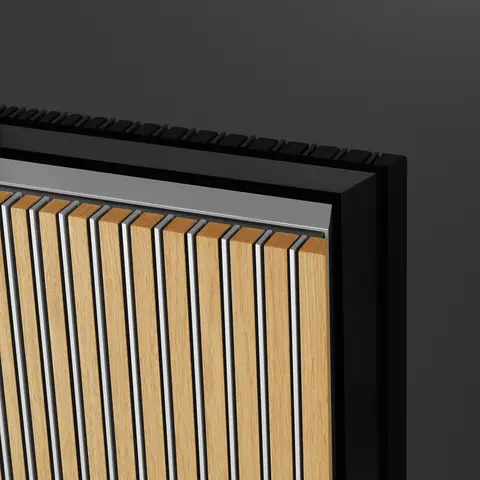 bang & olufsen