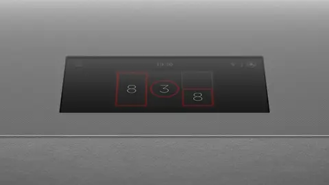 Fisher & Paykel