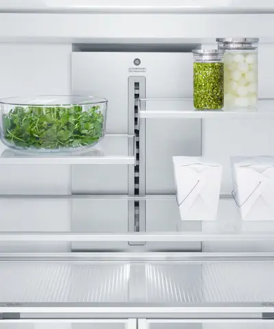Fisher & Paykel