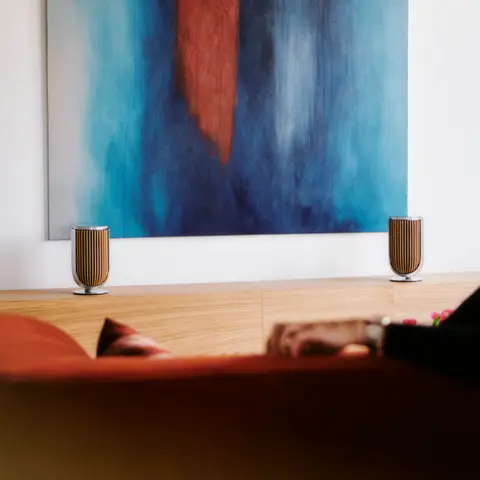 bang & olufsen