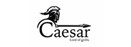 CAESAR
